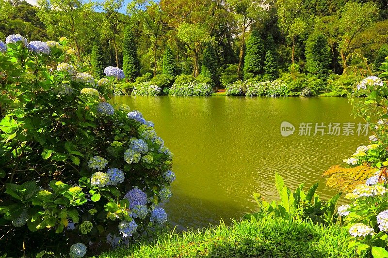 拉戈内格罗和绣球花，格拉马多，里约热内卢Grande do Sul，巴西